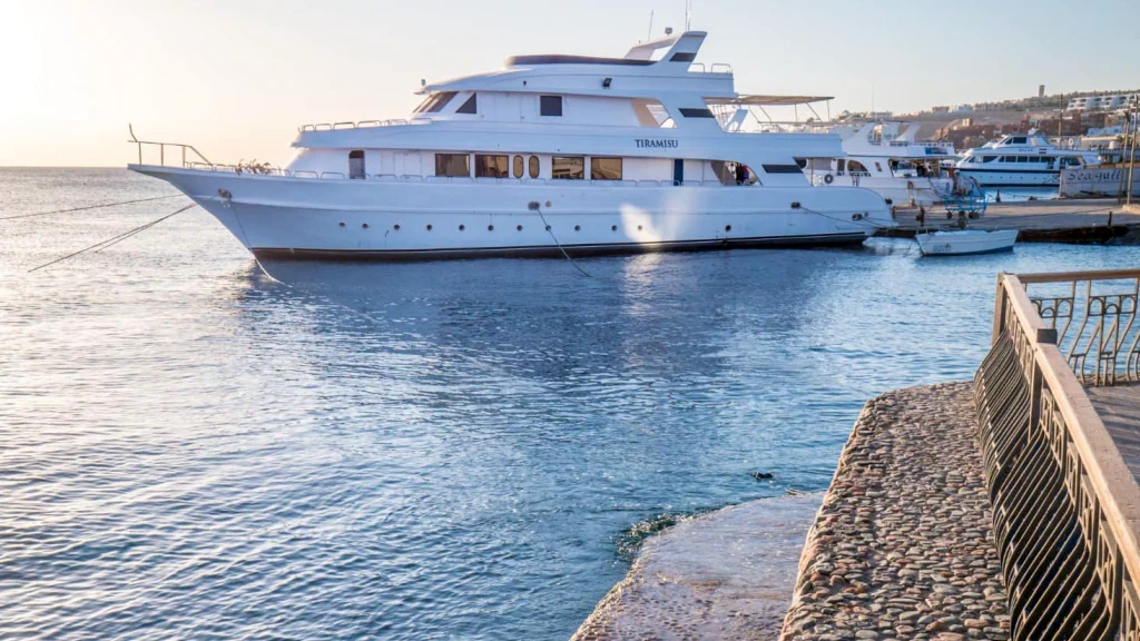 الفندق سى جل ريزورت - الغردقة